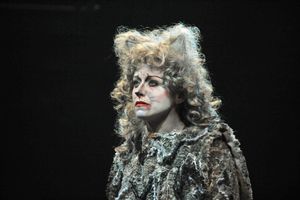 Heidi Kettenring as Grizabella @ BroadwayWorld Heidi Kettenring as Grizabella Photo