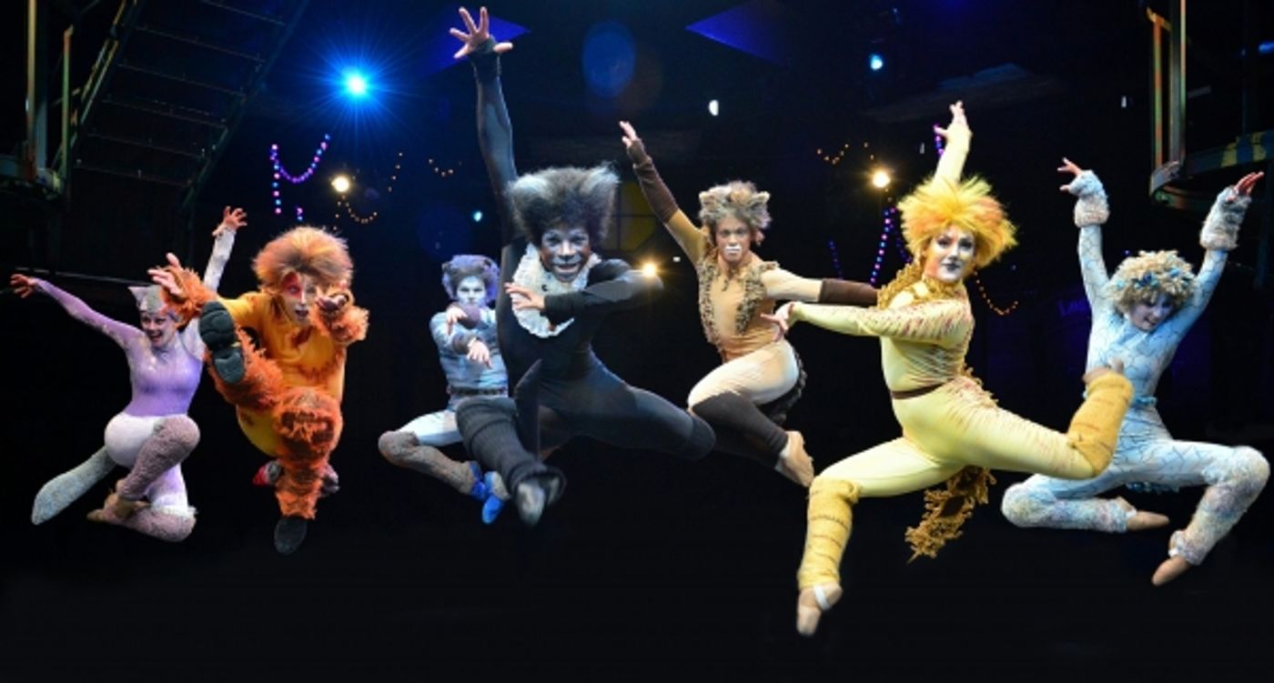 Photo Flash: First Look at Heidi Kettenring, Matthew R. Jones and More in Marriott Theatre's CATS  Image