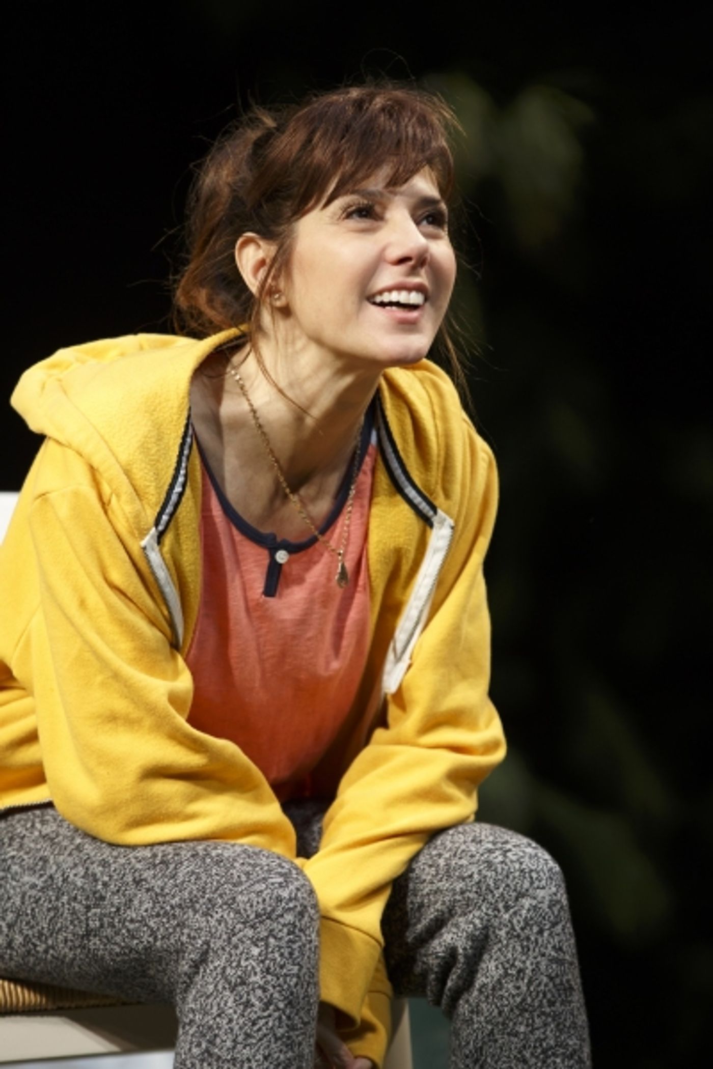 Photo Flash: First Look at Toni Collette, Michael C. Hall, Tracy Letts & Marisa Tomei in THE REALISTIC JONESES  Image