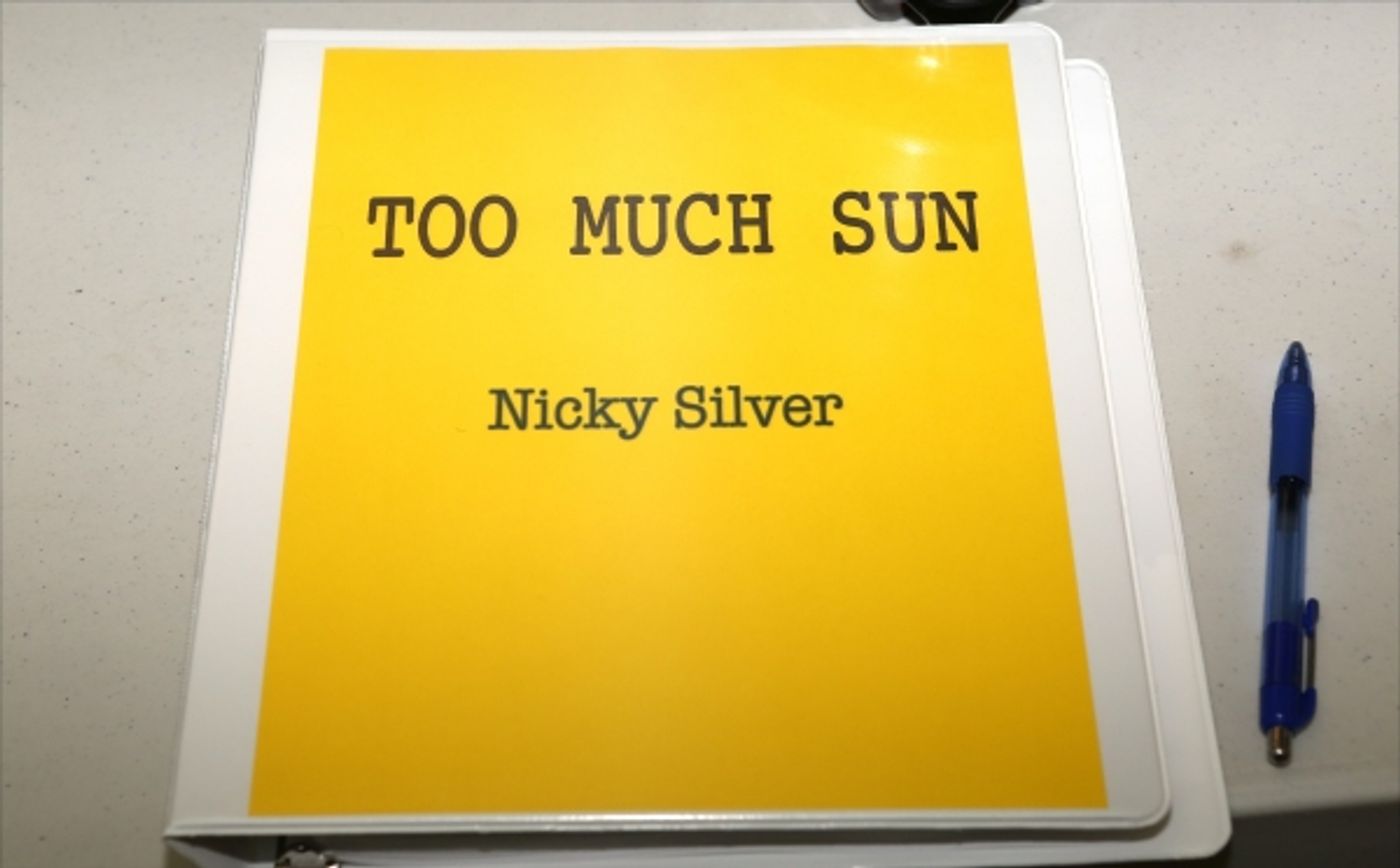 Photo Coverage:  Meet the Company of Vineyard Theatre's TOO MUCH SUN  Image