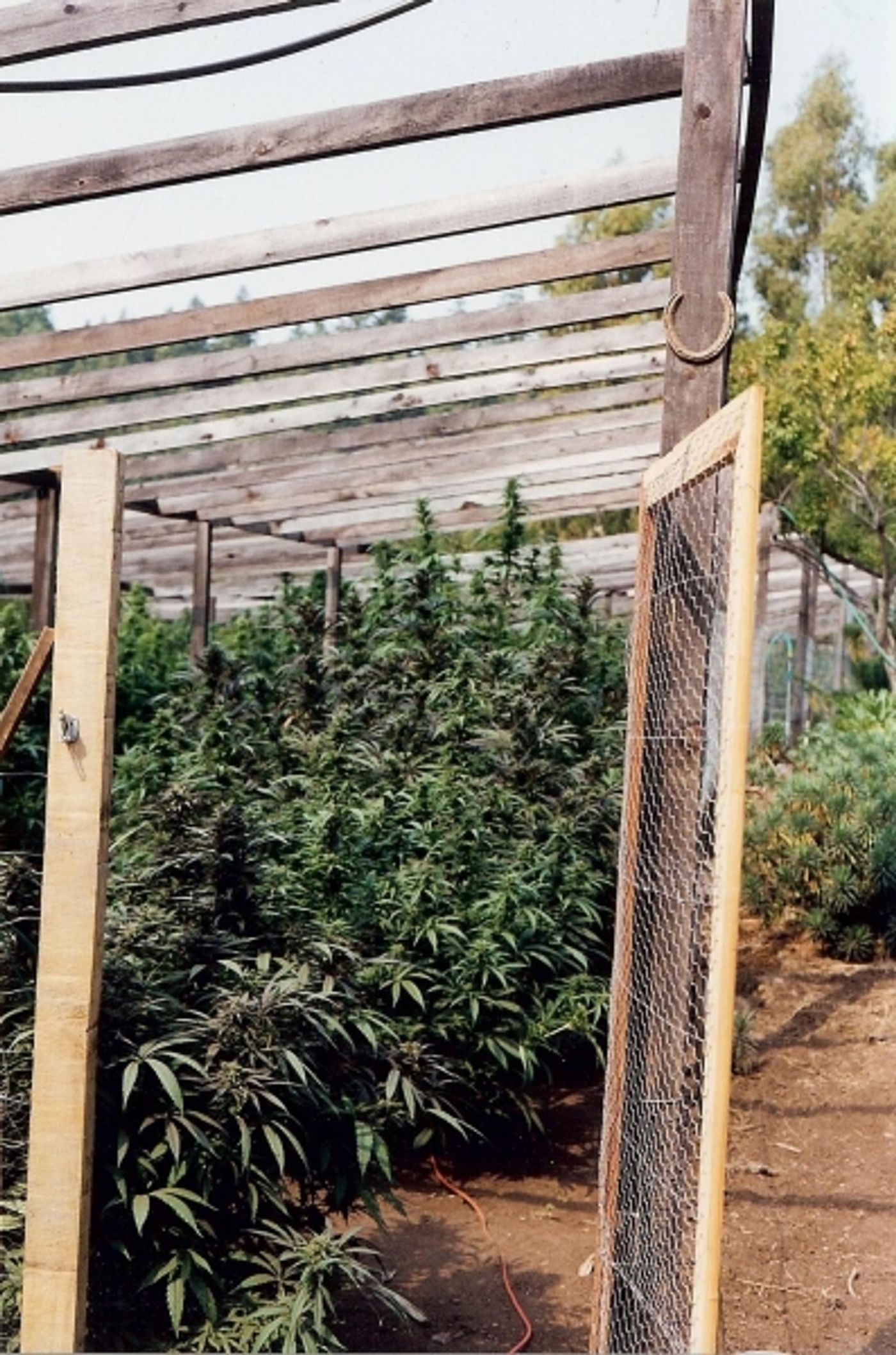 Photo Flash: Sneak Peek - LIFE IN GREEN Doc to Make Michigan Premiere at The Ringwald  Image