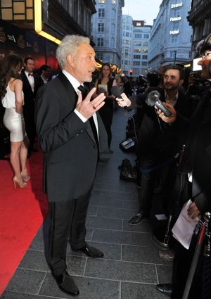 Tom Jones @ BroadwayWorld Tom Jones Photo