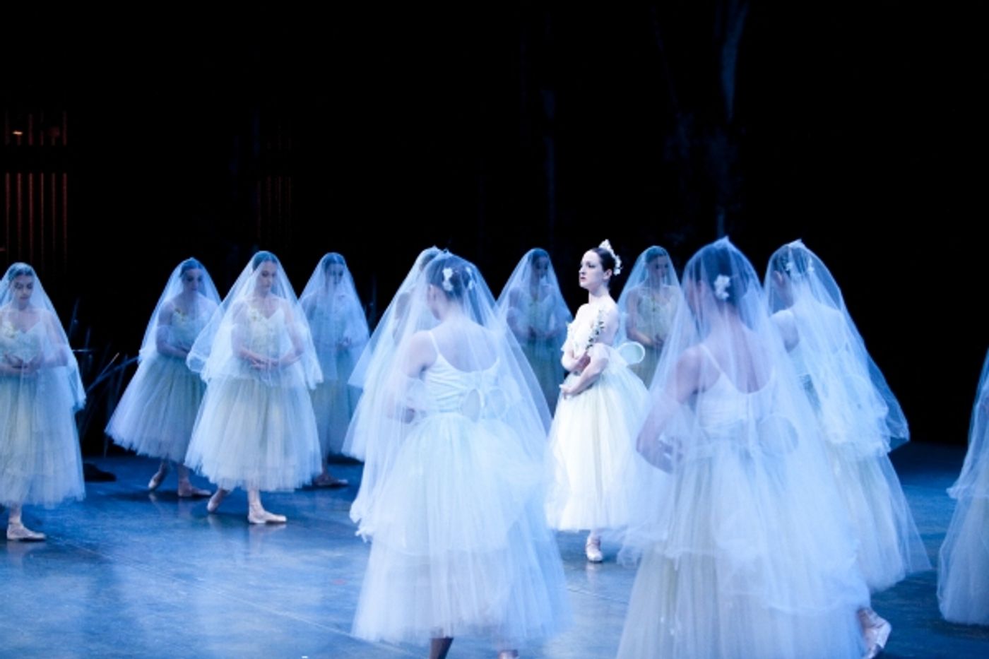 Photo Flash: First Look at Pacific Northwest Ballet's GISELLE Image