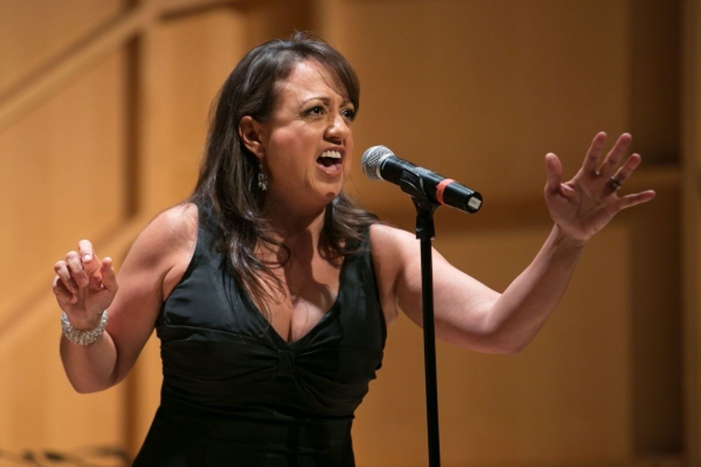 Photo Flash: BWW's Richard Ridge, Broadway's Natalie Toro, Leslie Uggams and More at Amas Musical Theatre's 2014 Gala  Image