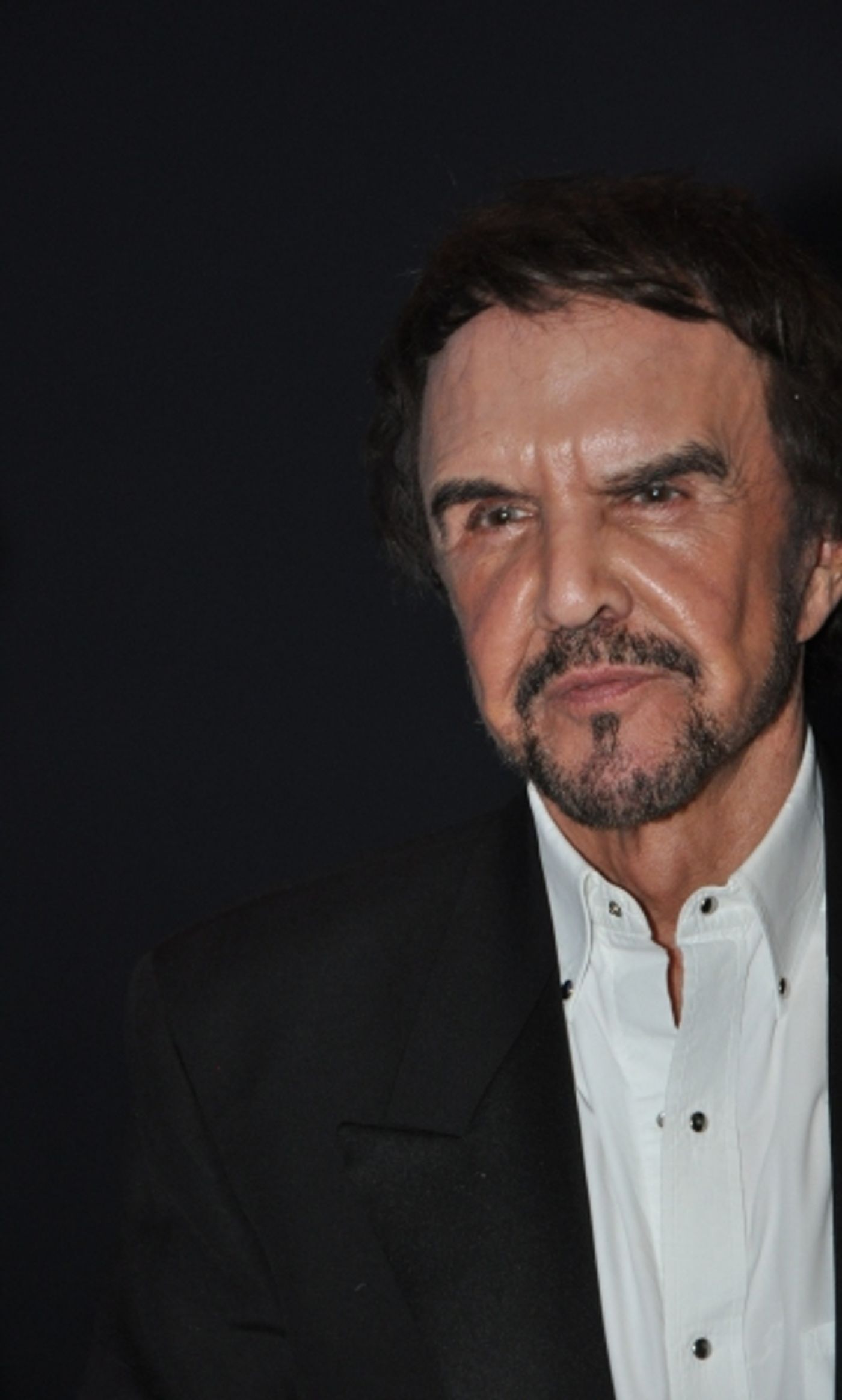 Photo Coverage: PBS Gives Sneak Peek of Dave Clark 5 Special  Image