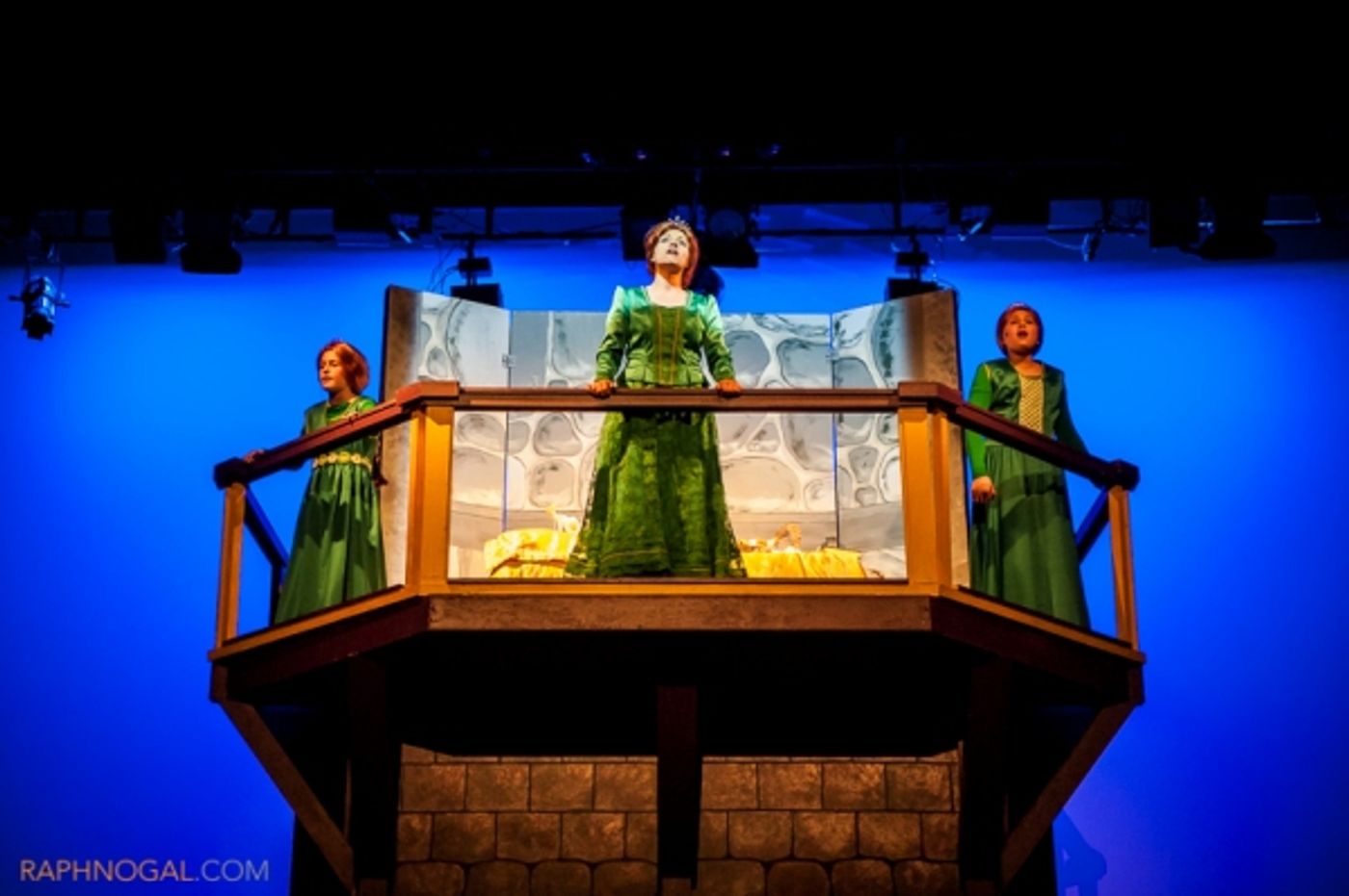 Photo Flash: See Photos from Marquee Productions Shrek the Musical! Photo Flash: See Photos from Marquee Productions Shrek the Musical! Image