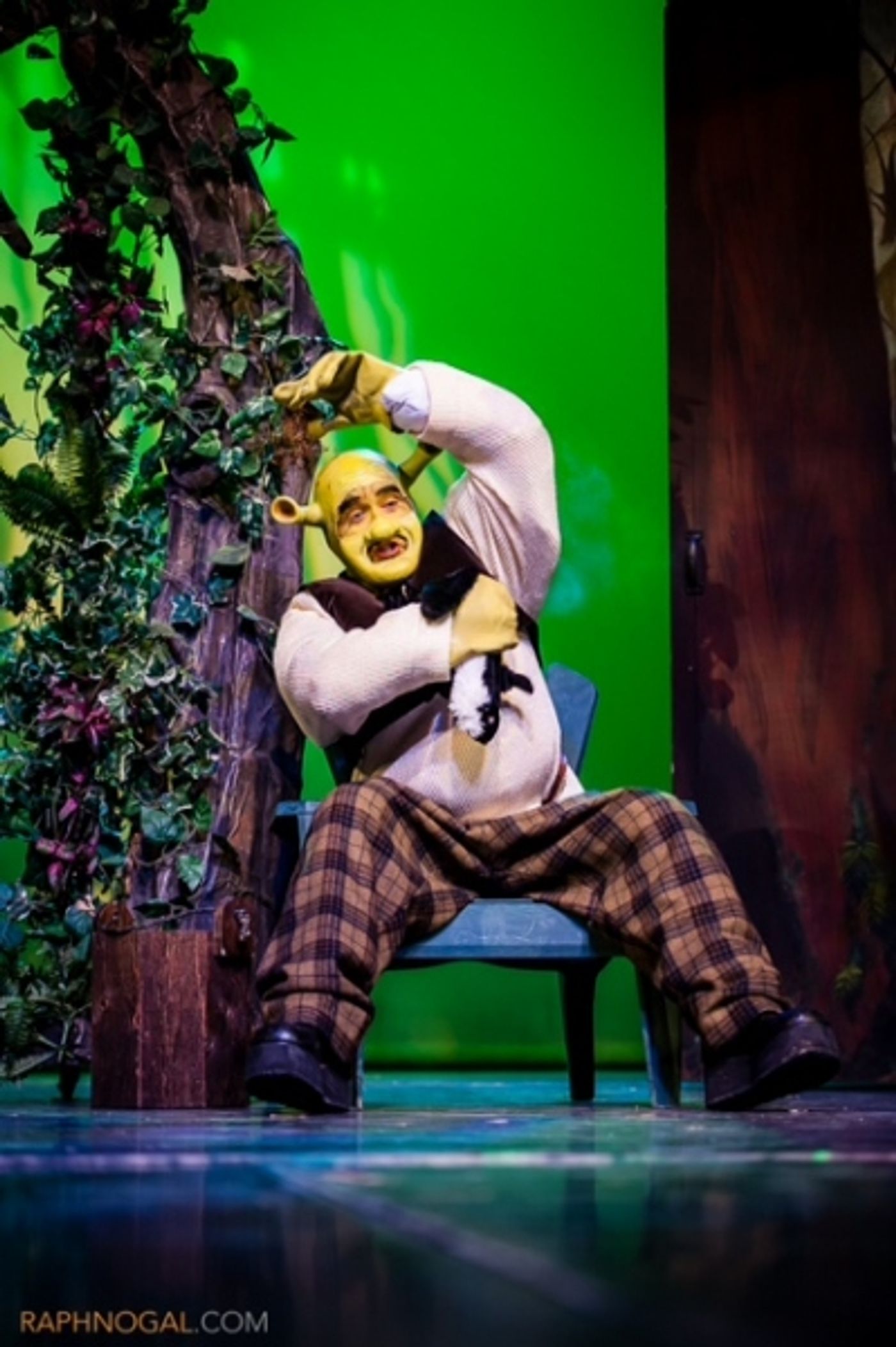 Photo Flash: See Photos from Marquee Productions Shrek the Musical! Photo Flash: See Photos from Marquee Productions Shrek the Musical! Image