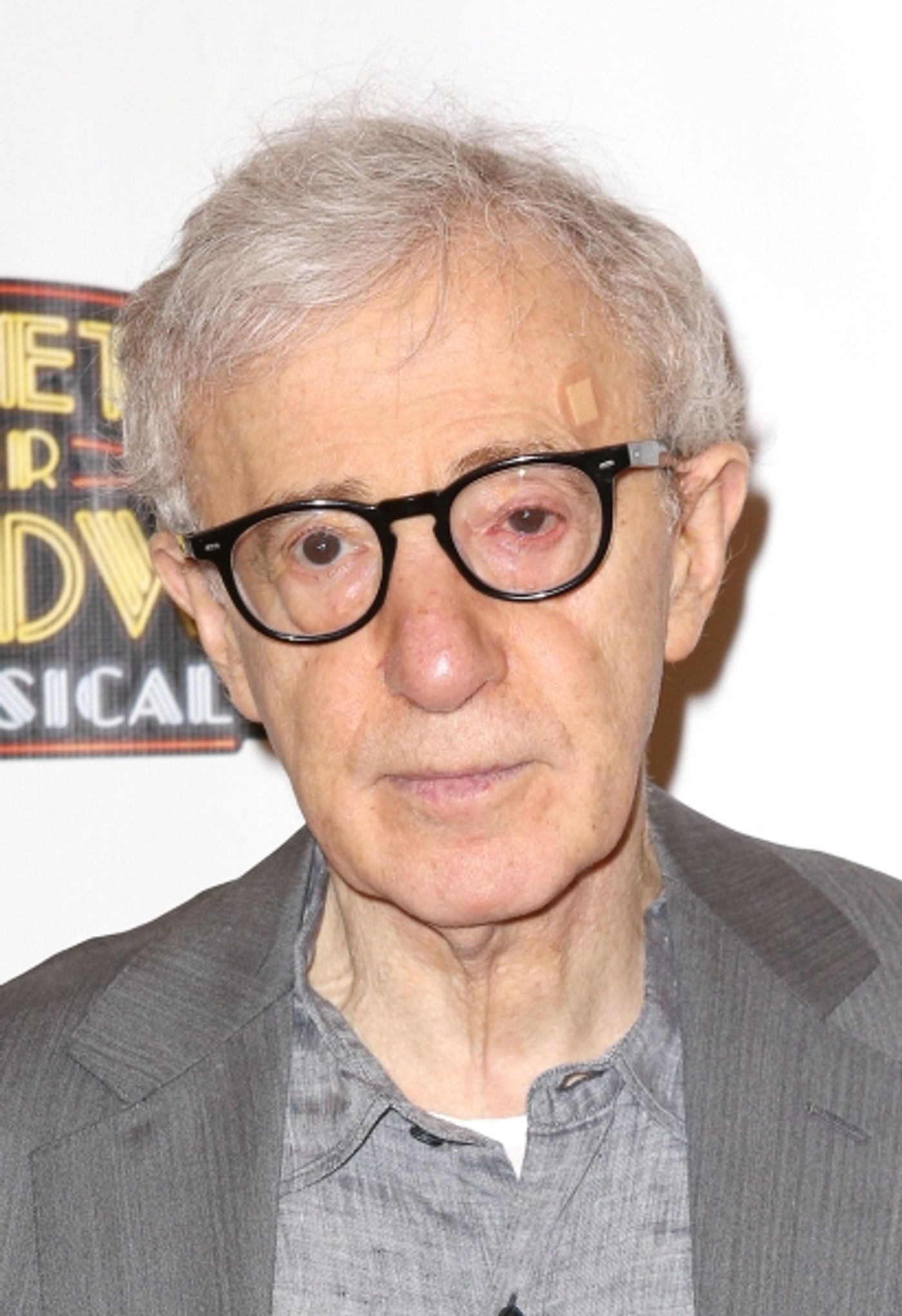 Photo Coverage: Inside BULLETS OVER BROADWAY's Opening Night Arrivals!  Image