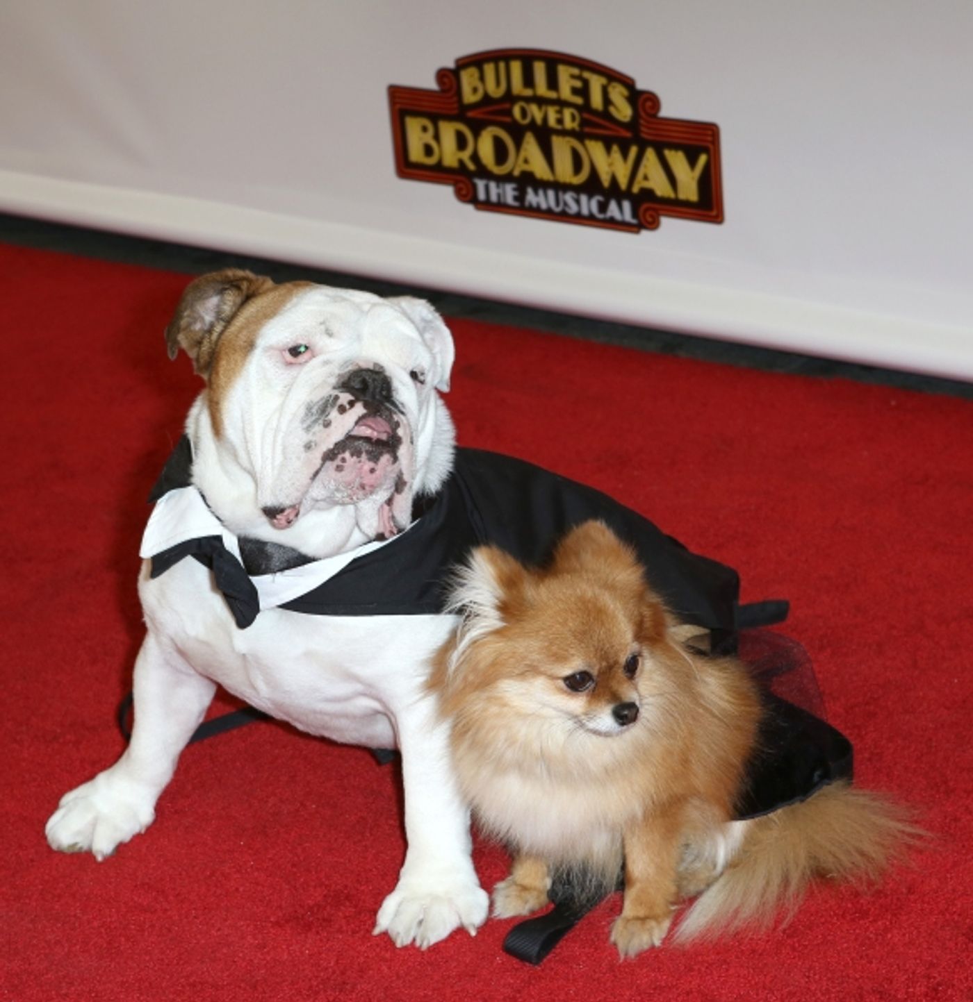 Photo Coverage: Inside BULLETS OVER BROADWAY's Opening Night Arrivals!  Image