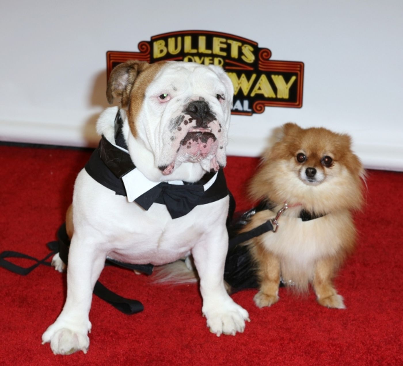 Photo Coverage: Inside BULLETS OVER BROADWAY's Opening Night Arrivals!  Image