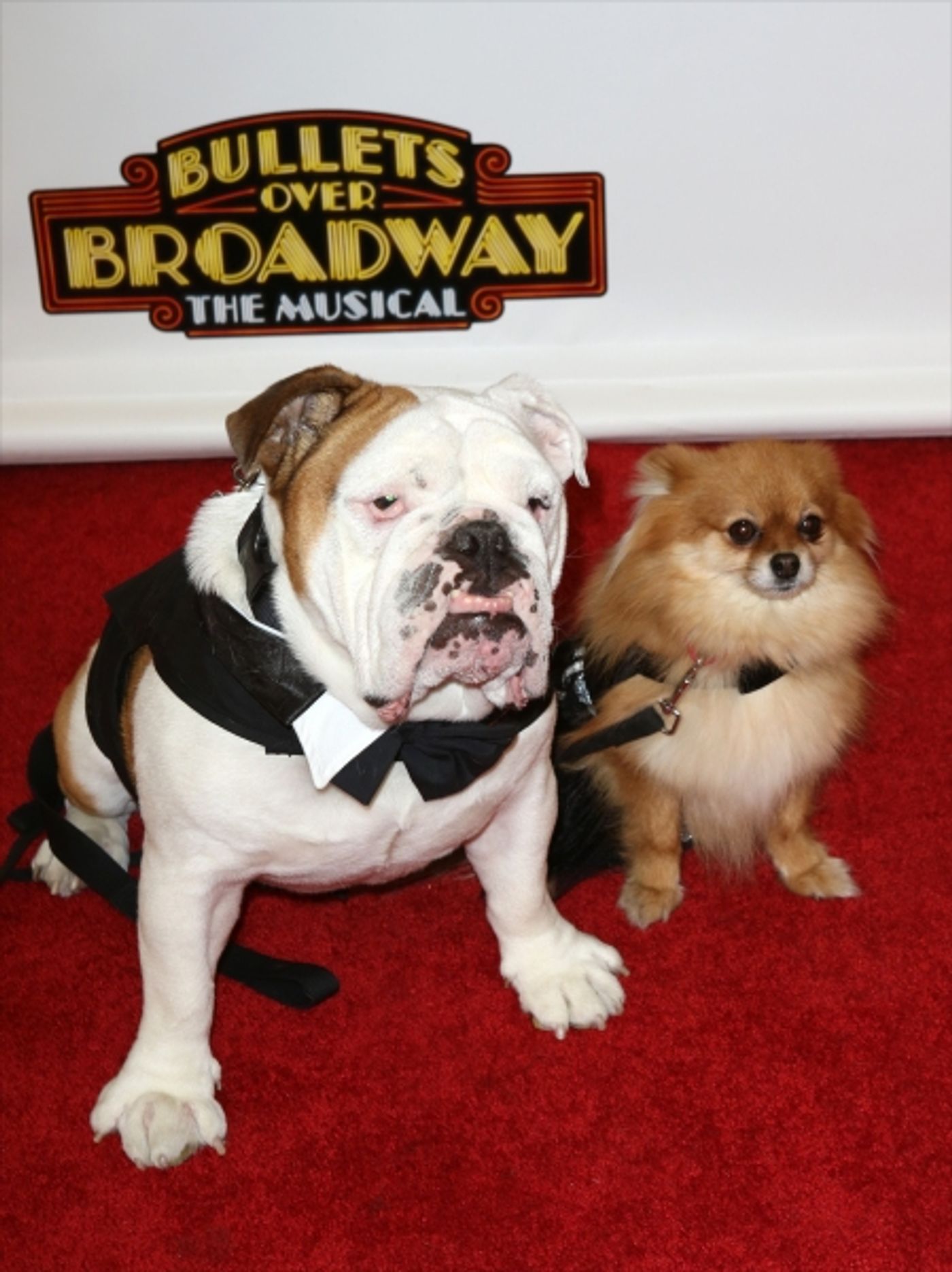 Photo Coverage: Inside BULLETS OVER BROADWAY's Opening Night Arrivals!  Image