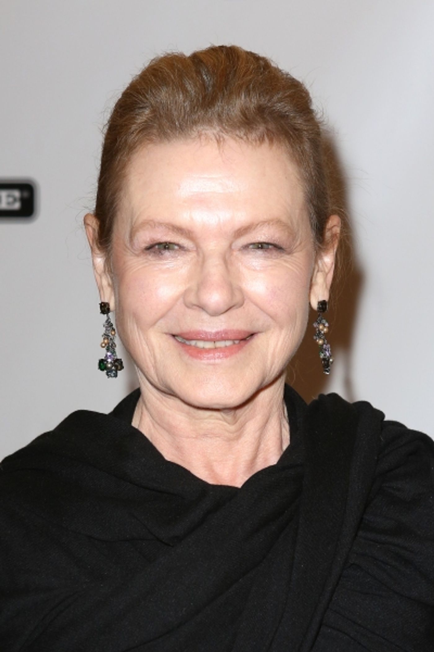 Photo Coverage: Inside BULLETS OVER BROADWAY's Opening Night Arrivals!  Image