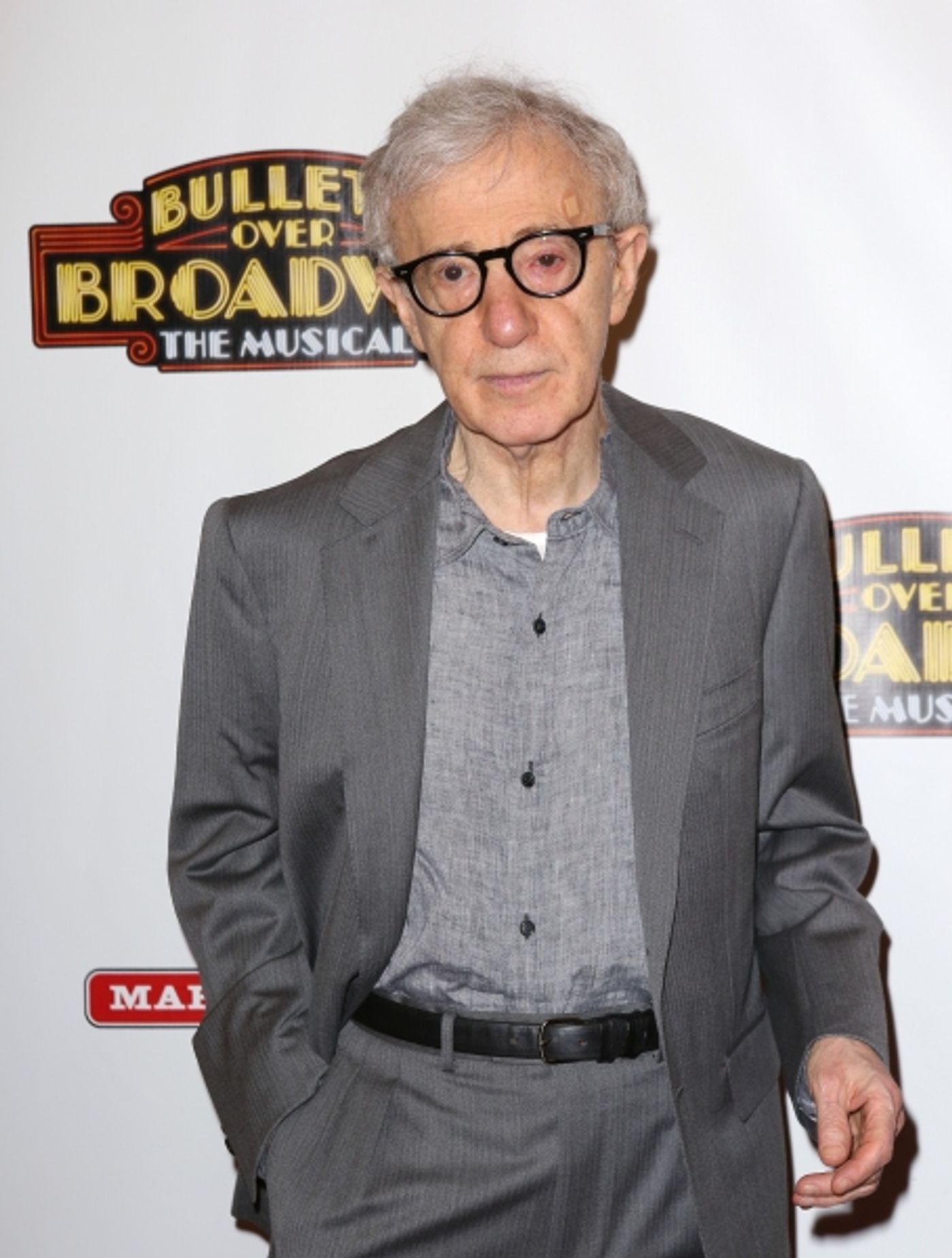 Photo Coverage: Inside BULLETS OVER BROADWAY's Opening Night Arrivals!  Image