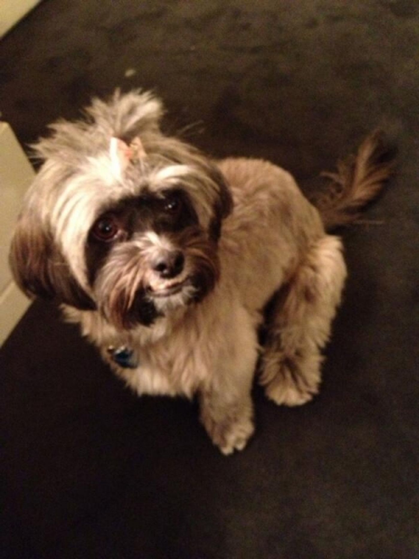 Photo Flash: Saturday Intermission Pics, 4/12, Part 2- BULLETS OVER BROADWAY Takes Prom Pic, IF/THEN Loves SOUTH PARK, & More!  Image