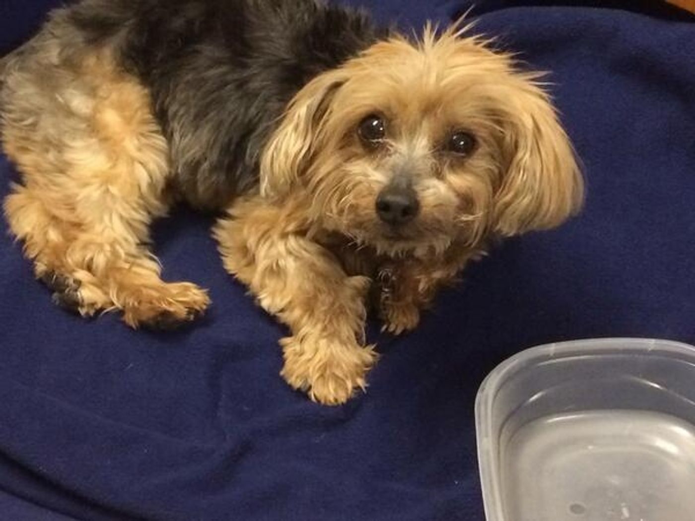 Photo Flash: Saturday Intermission Pics, 4/12, Part 2- BULLETS OVER BROADWAY Takes Prom Pic, IF/THEN Loves SOUTH PARK, & More!  Image