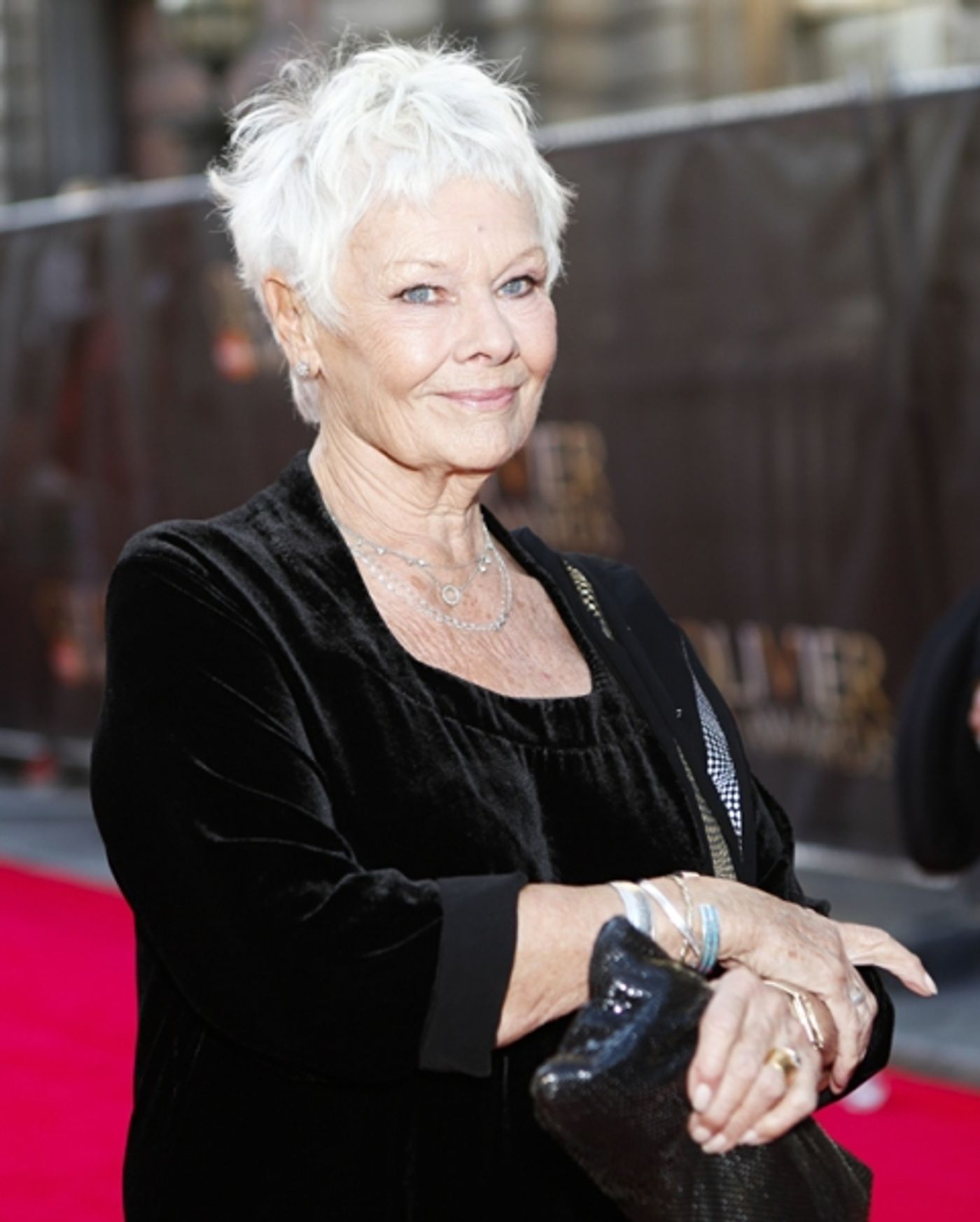 Photo Coverage: OLIVIERS 2014 - Red Carpet Part 2, Davis, Dench, Freeman, Hiddlestone and More!  Image