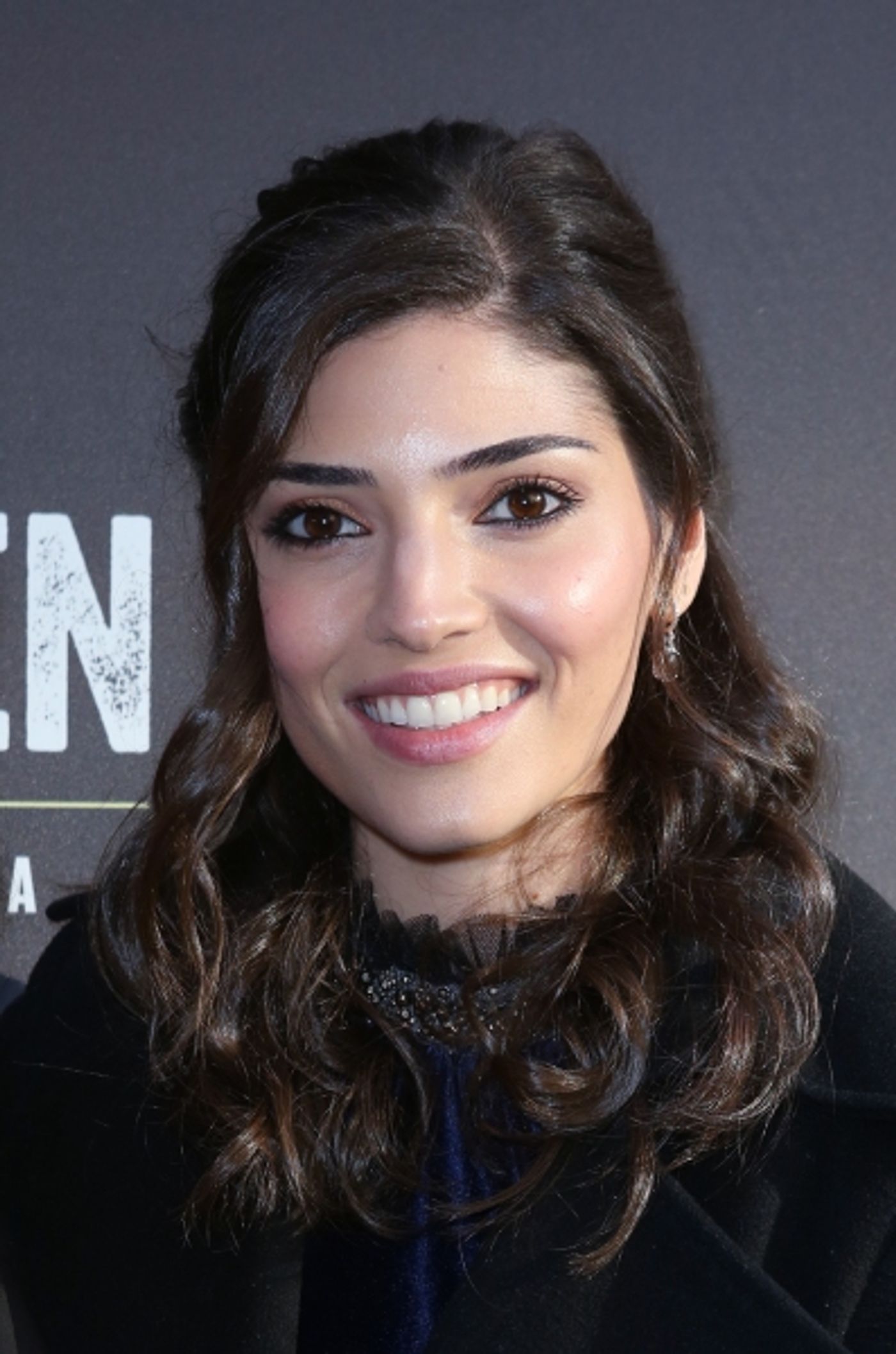 Photo Coverage: Inside OF MICE AND MEN's Opening Night Theatre Arrivals!  Image