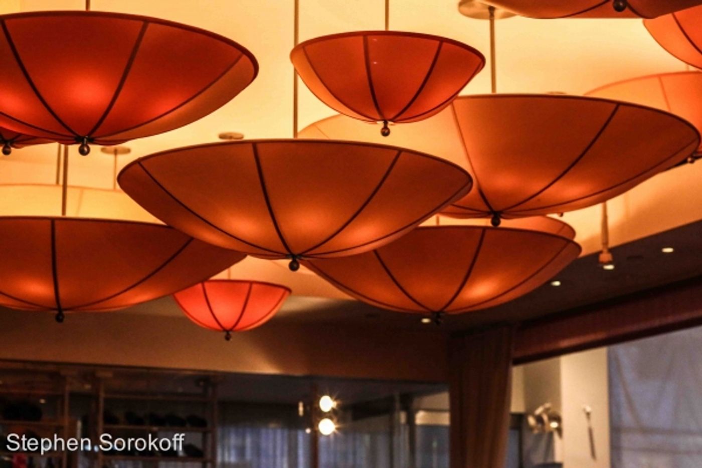 Photo Coverage: Sabrina Wender Plays MUSICAL MONDAYS at Le Cirque Cafe  Image