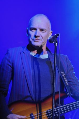 Sting Photo