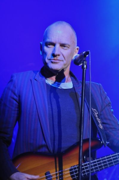 Sting Photo