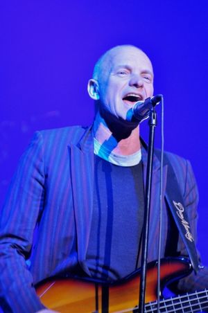 Sting Photo