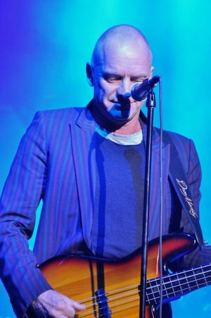 Sting Photo