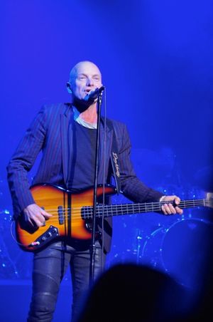 Sting Photo