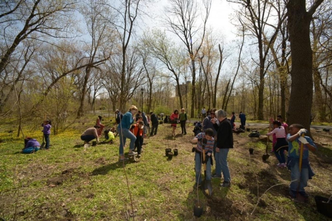 Photo Flash: NYC Parks, Bronx River Alliance and Local Students Plant Trees on Arbor Day  Image