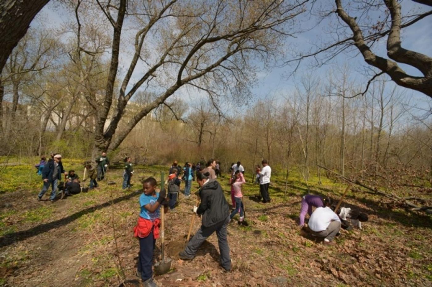Photo Flash: NYC Parks, Bronx River Alliance and Local Students Plant Trees on Arbor Day  Image