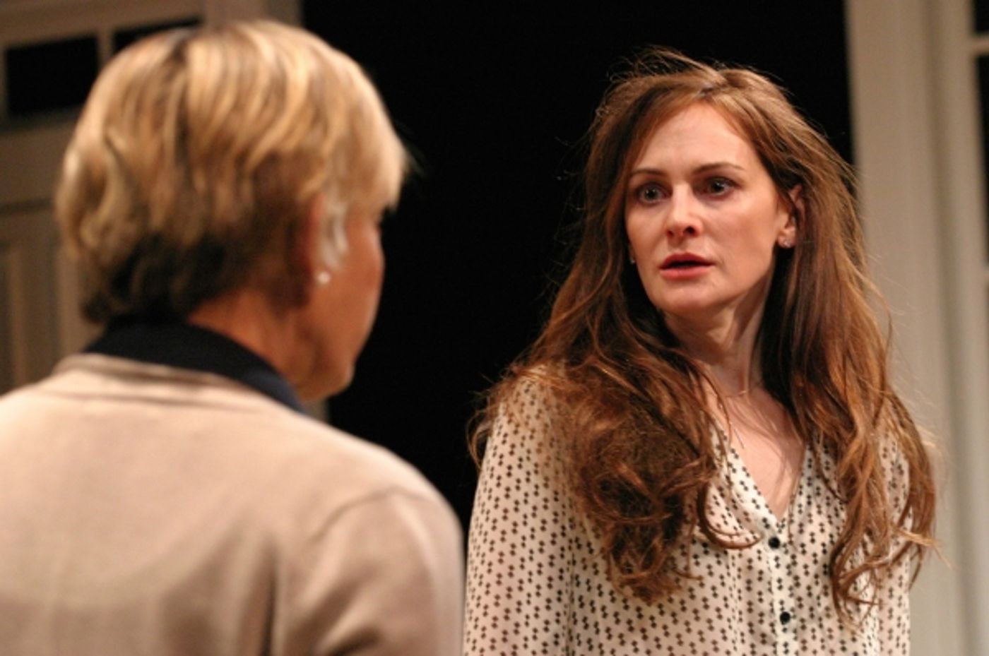 Photo Flash: First Look at Susan Sullivan, David Selby & More in A DELICATE BALANCE  Image