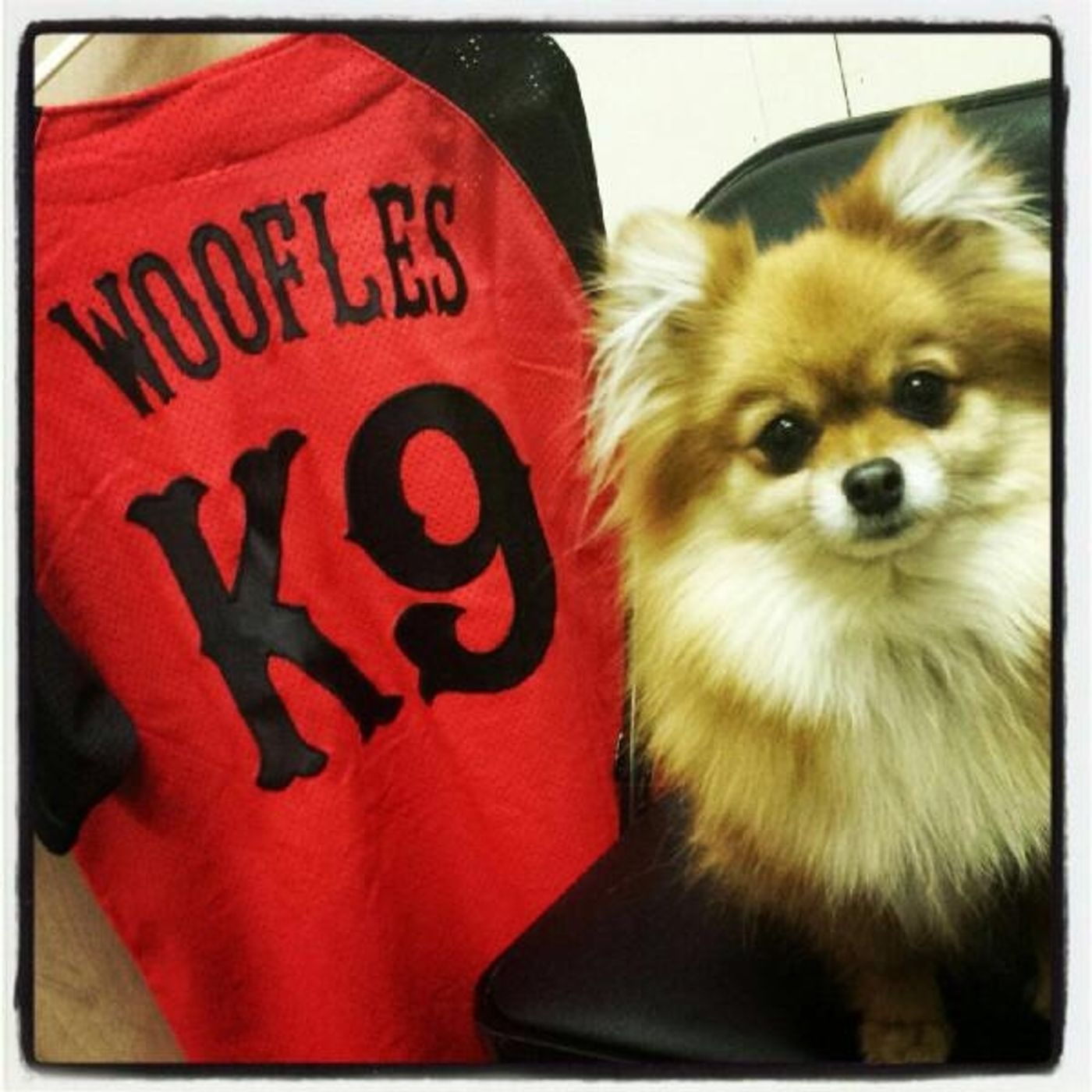 Photo Flash: Saturday Intermission Pics, 5/3, Part 2- ROCKY Snapchats Home, ALADDIN Opens Mail, and More! Photo Flash: Saturday Intermission Pics, 5/3, Part 2- ROCKY Snapchats Home, ALADDIN Opens Mail, and More! Image