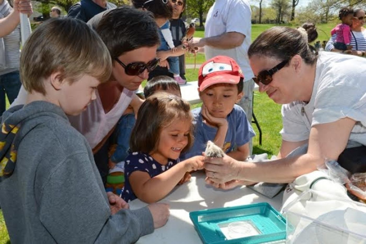 Photo Flash: New Yorkers Celebrate Urban Wildlife Appreciation Day  Image