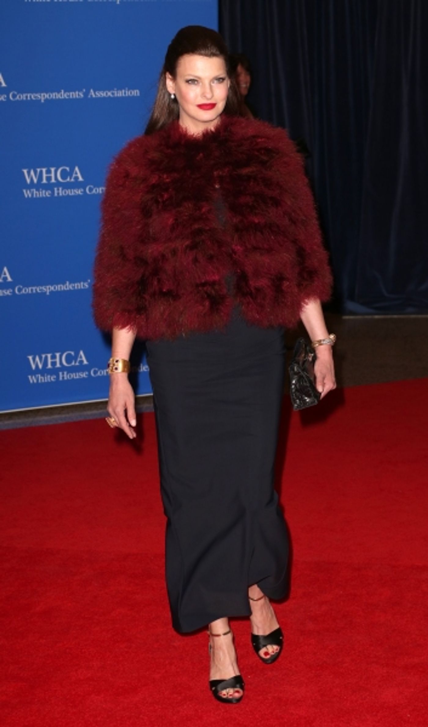 Photo Coverage: On the Red Carpet at the White House Correspondents' Association Dinner  Image