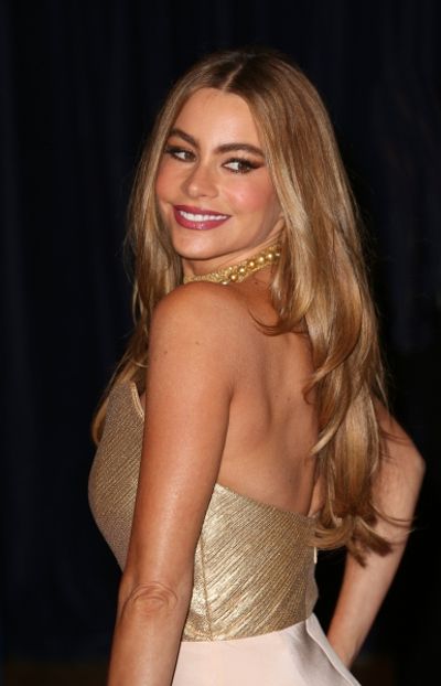 Sofia Vergara Photo