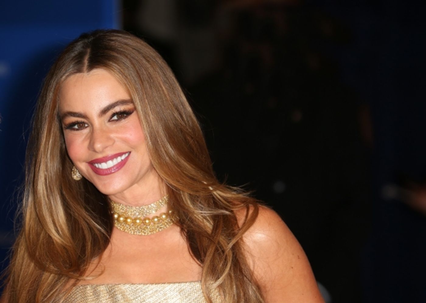 Photo Coverage: Inside the White House Correspondents' Association Dinner - The Women  Image