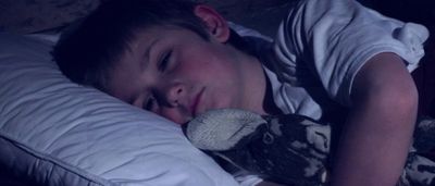 Zachary Wanous plays Donald Ã‚Â ''Young Don'' Esbenshade, a boy pained by his fa Photo