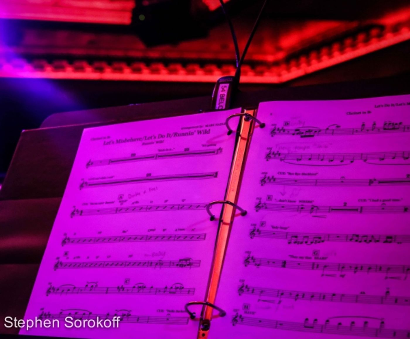 Photo Coverage: Mark Nadler Brings RUNNIN' WILD to 54 Below  Image