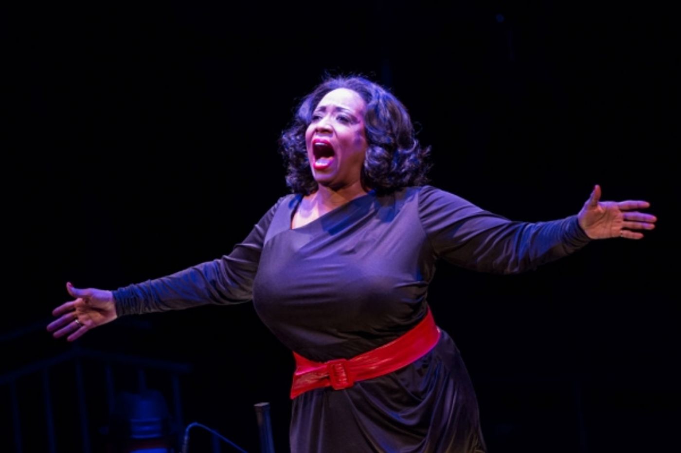 Photo Flash: First Look at Levi Kreis, Nova Y. Payton and More in SMOKEY JOE'S CAFE at Arena Stage  Image