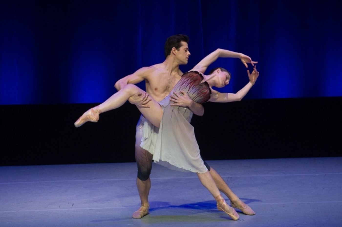 Photo Flash: Dance Against Cancer Raises Over $200,000 for the American Cancer Society  Image