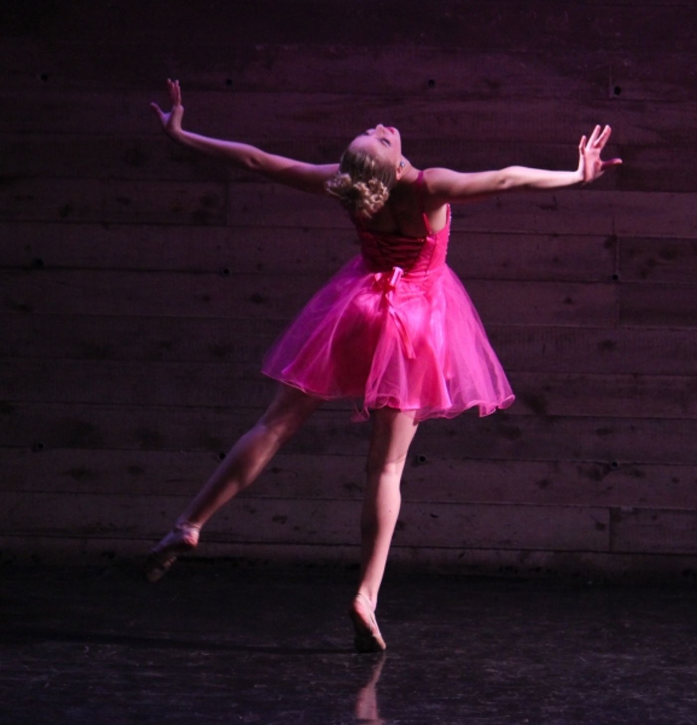 Photo Flash: Inside CABARET FOR A CAUSE Benefit for St. Jude's!  Image