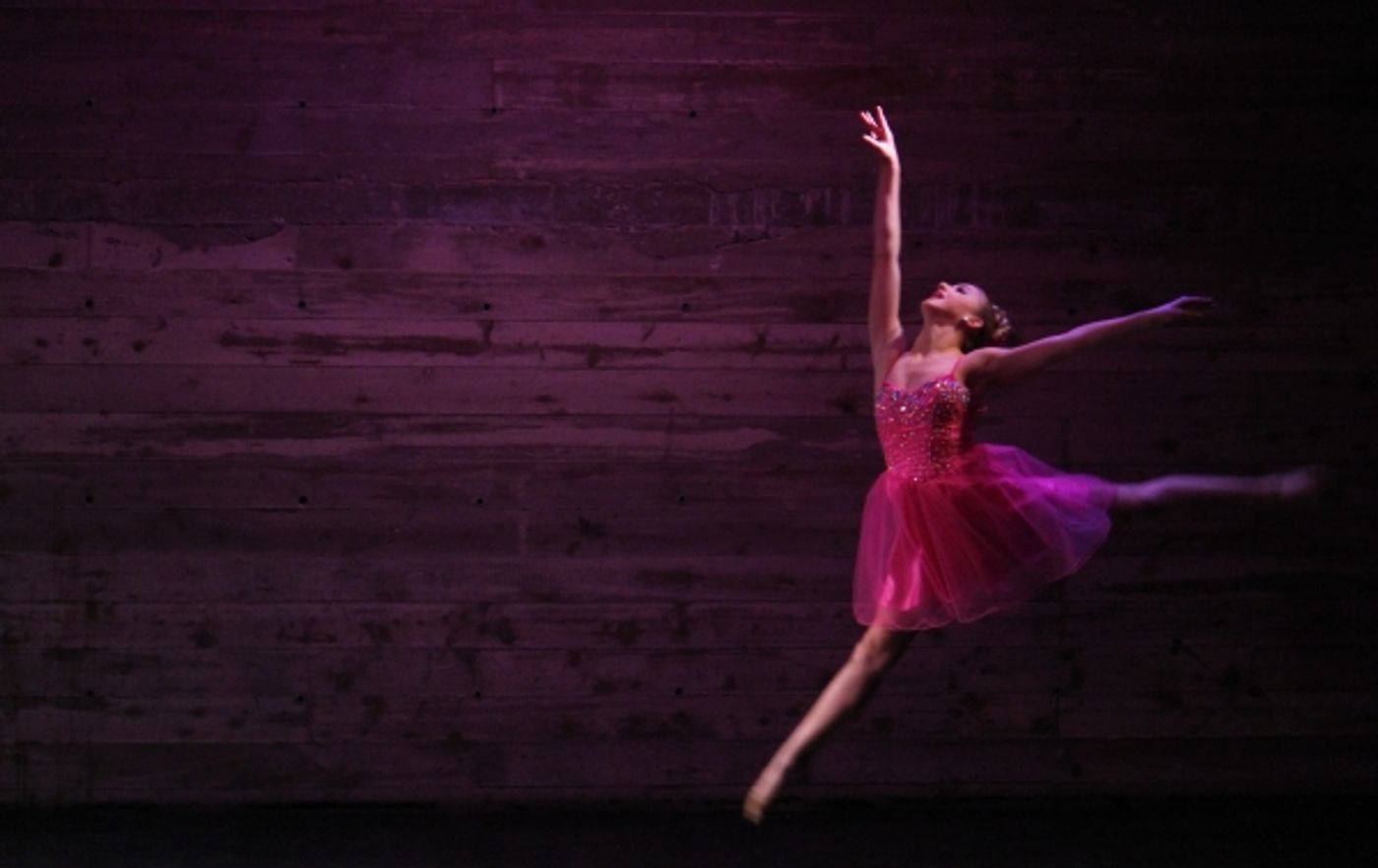 Photo Flash: Inside CABARET FOR A CAUSE Benefit for St. Jude's!  Image