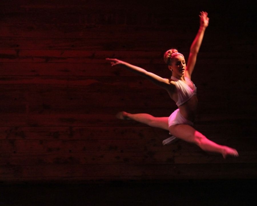 Photo Flash: Inside CABARET FOR A CAUSE Benefit for St. Jude's! Image