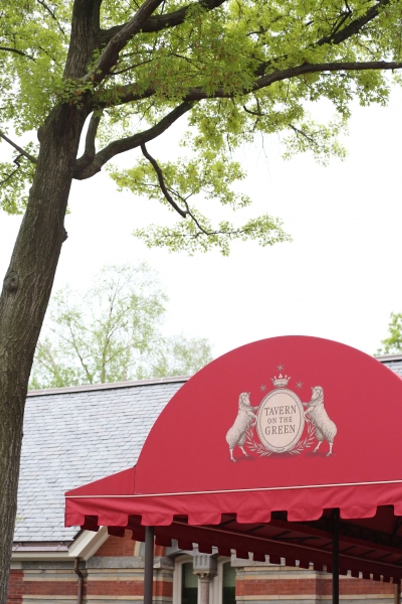 Photo Coverage: Fran Drescher, Christopher Sieber & More Celebrate Reopening of Tavern on the Green  Image