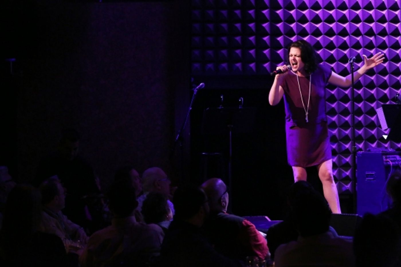 Photo Coverage: EVERYTHING'S COMING UP BROADWAYWORLD.COM at Joe's Pub Image