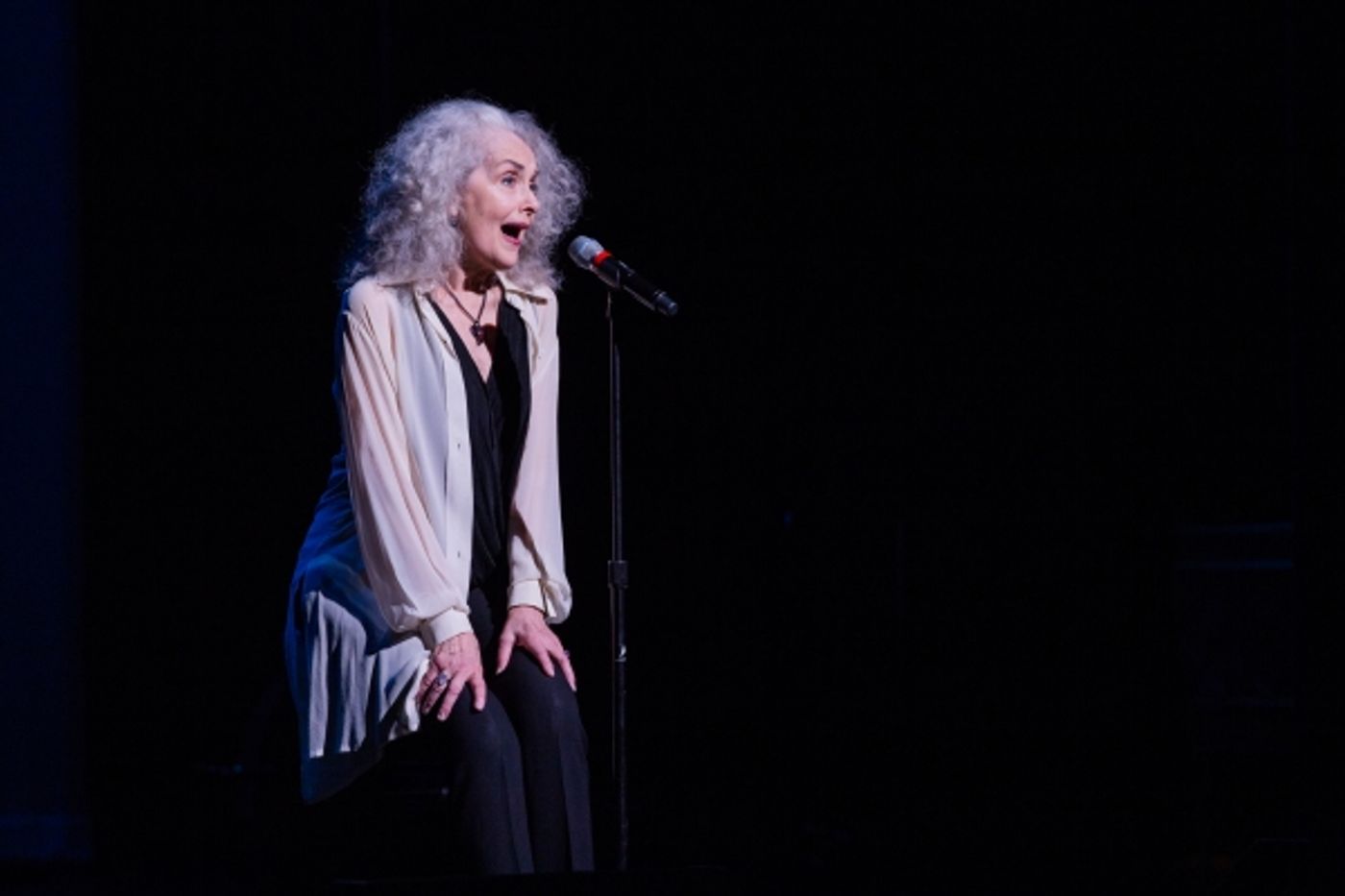 Photo Flash: Santino Fontana, Jeremy Jordan, Rebecca Luker & More Perform at CSC Gala  Image