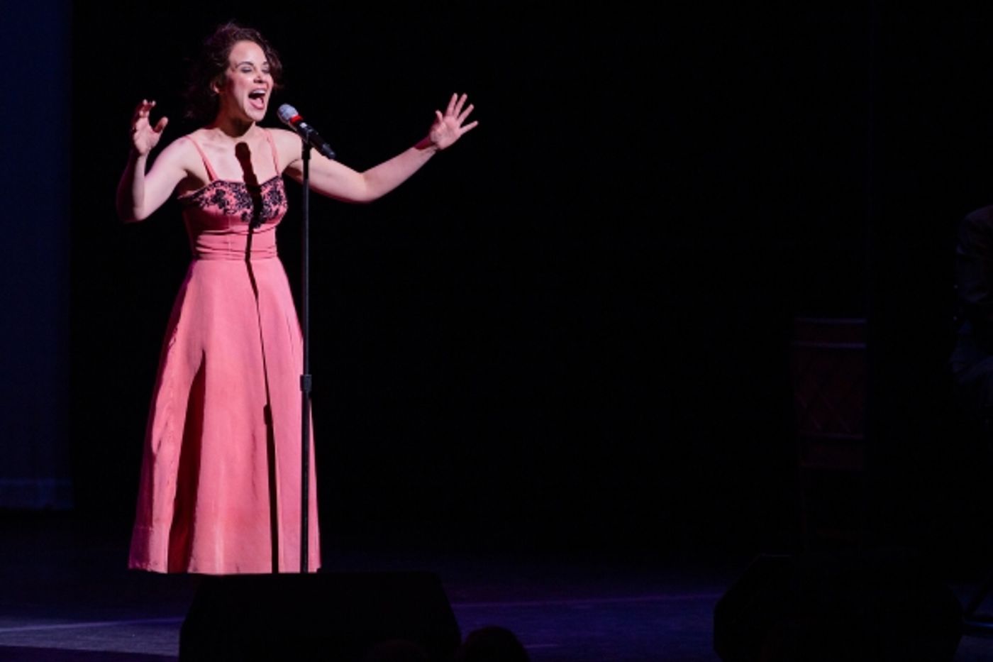 Photo Flash: Santino Fontana, Jeremy Jordan, Rebecca Luker & More Perform at CSC Gala  Image