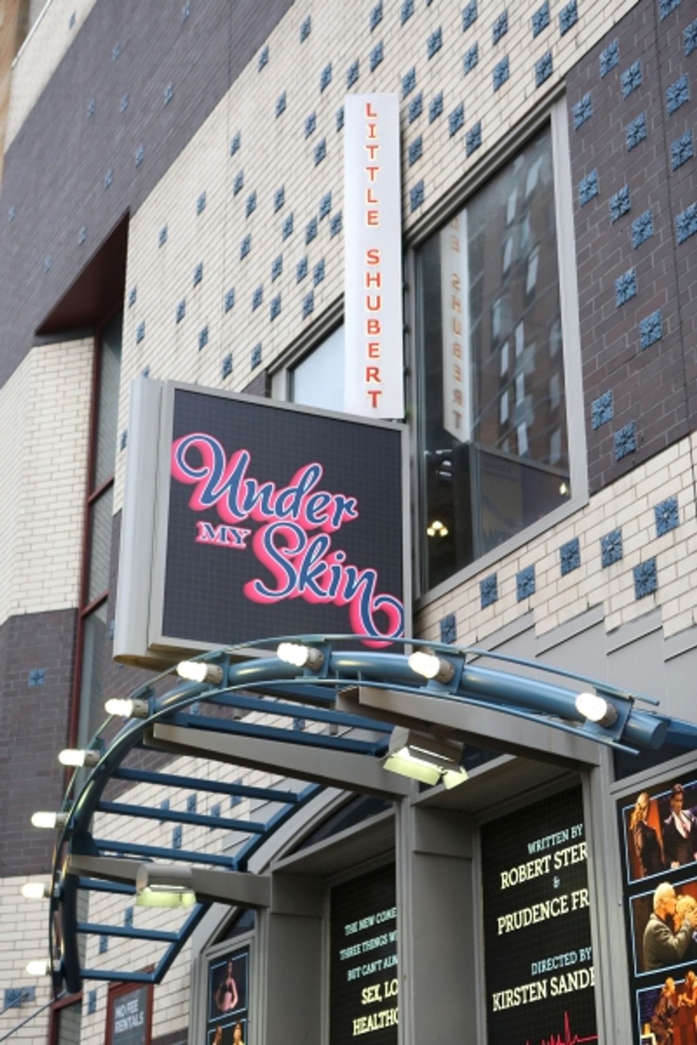 Photo Coverage: UNDER MY SKIN Takes Opening Night Bows  Image