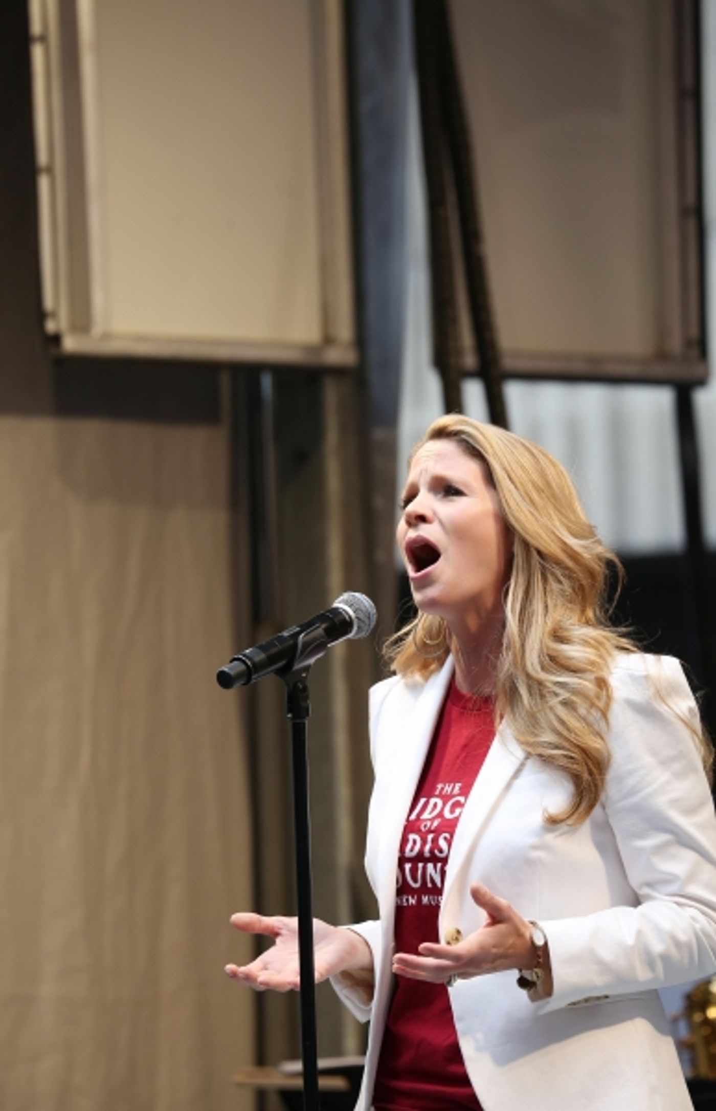 Photo Coverage: Broadway Unites! Casts of BEAUTIFUL, ROCKY, CABARET & More Perform at STARS IN THE ALLEY  Image