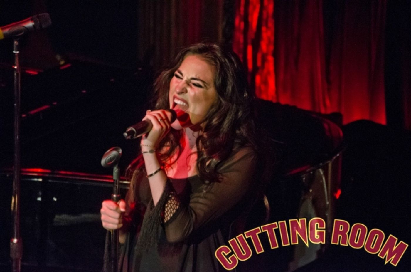 Photo Flash: Chondra Profit, Brian Craft and More in SEQUINS AND SUSPENDERS at The Cutting Room  Image