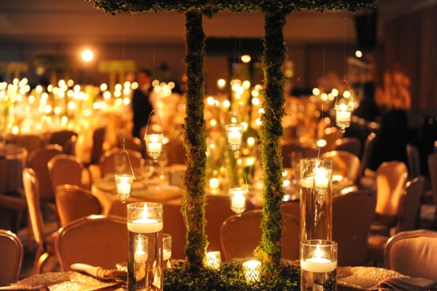 Photo Flash: Hubbard Street Dance Chicago Honors Mikhail Baryshnikov at Season 36 Spotlight Ball  Image